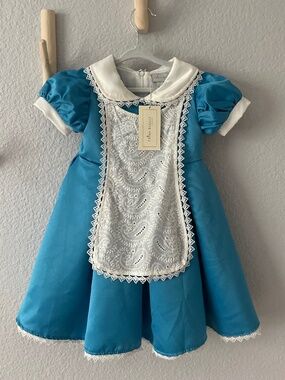 Trish Scully Brand Alice in Wonderland Costume